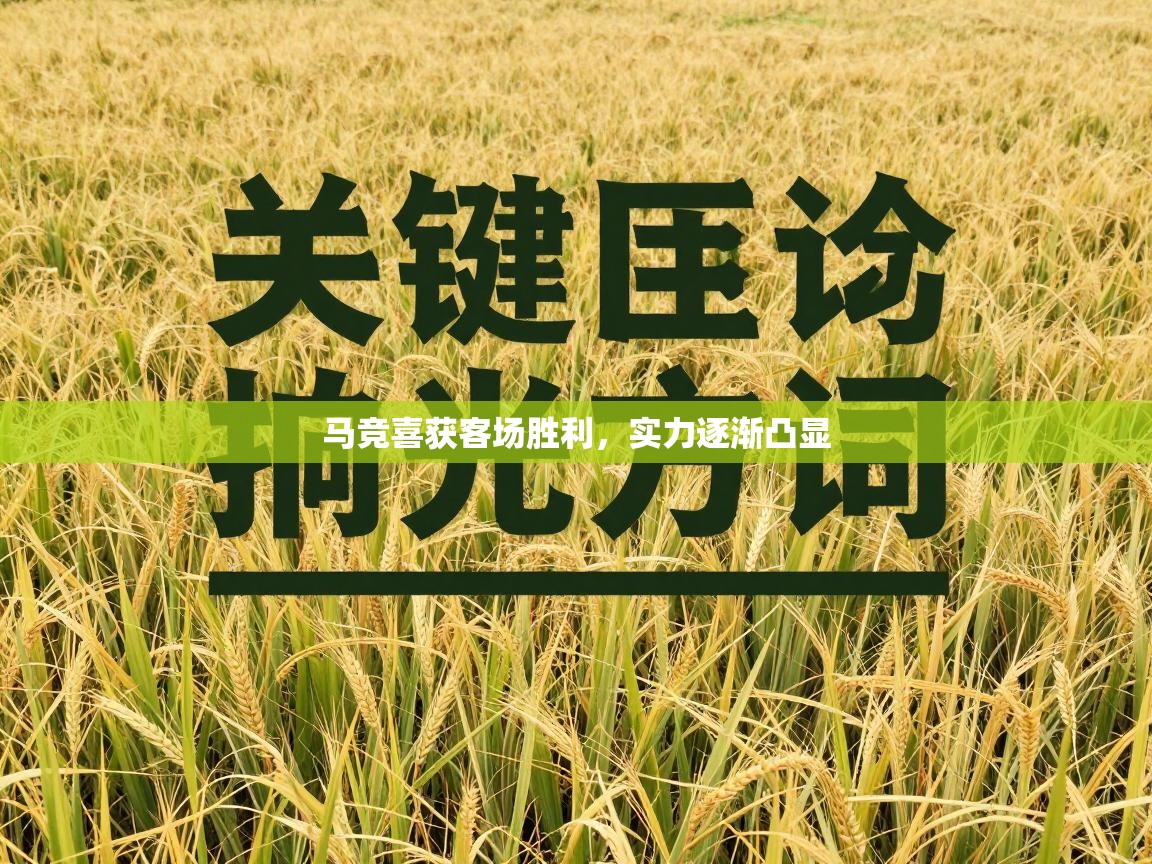 马竞喜获客场胜利,实力逐渐凸显 第2张